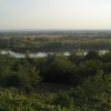 finnek 2011 018
